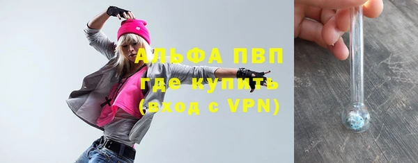 2c-b Инсар