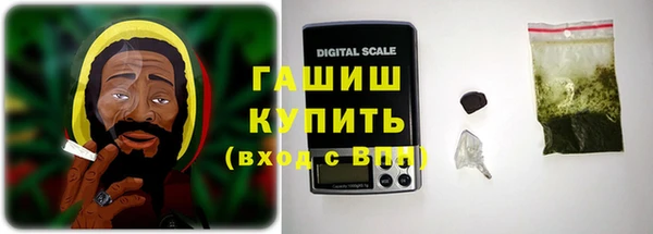 тгк Каменка