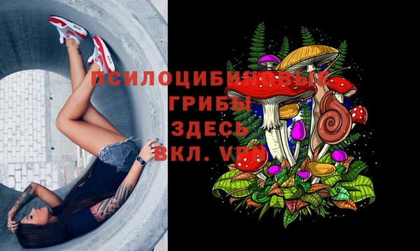 COCAINE Заводоуковск