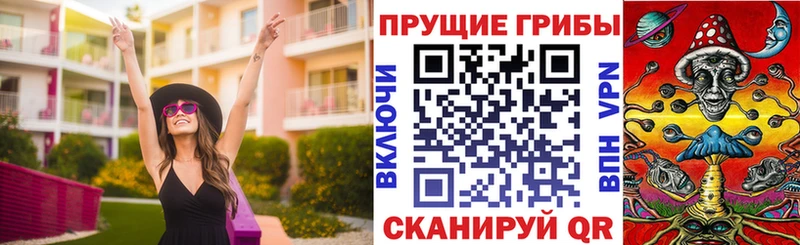 Псилоцибиновые грибы Psilocybe  Купить  Кудымкар 